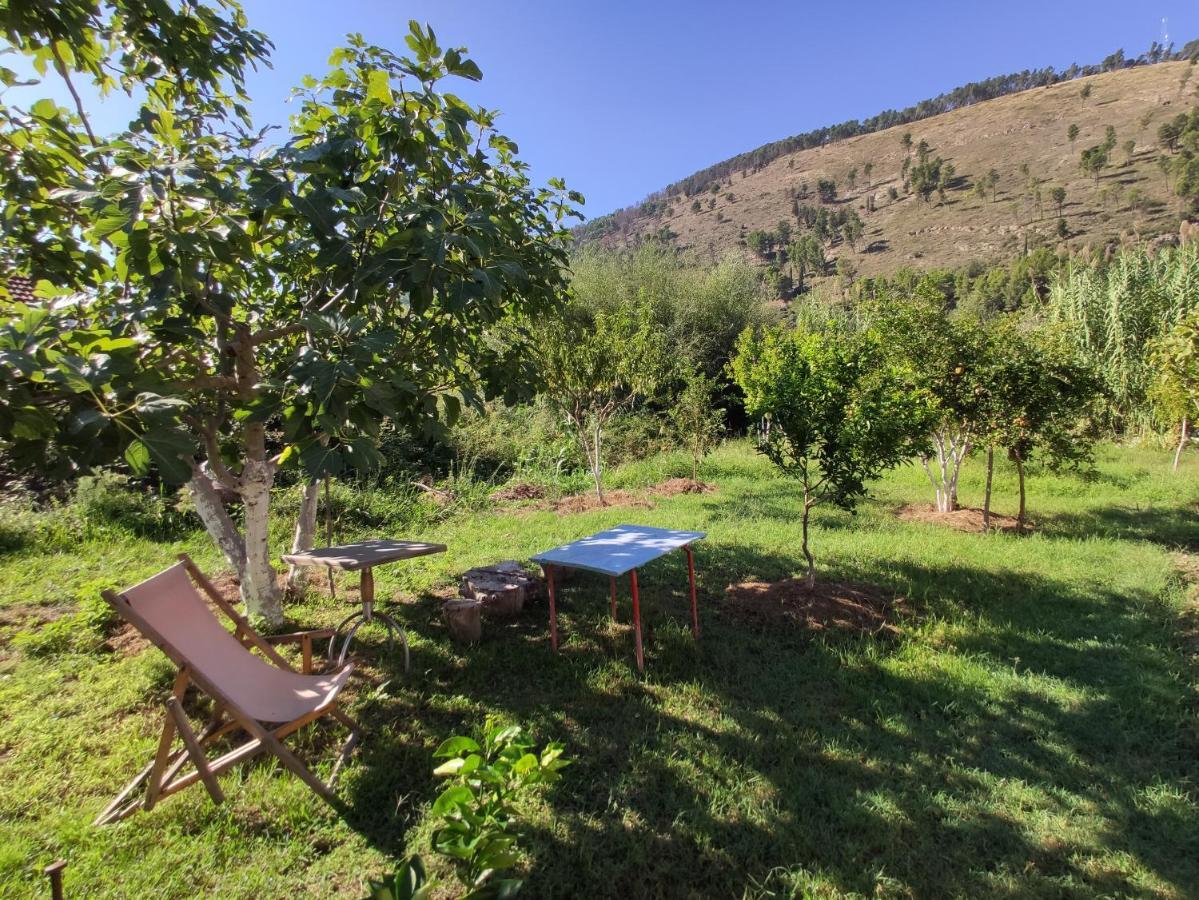 Olive B&B Berat Ngoại thất bức ảnh