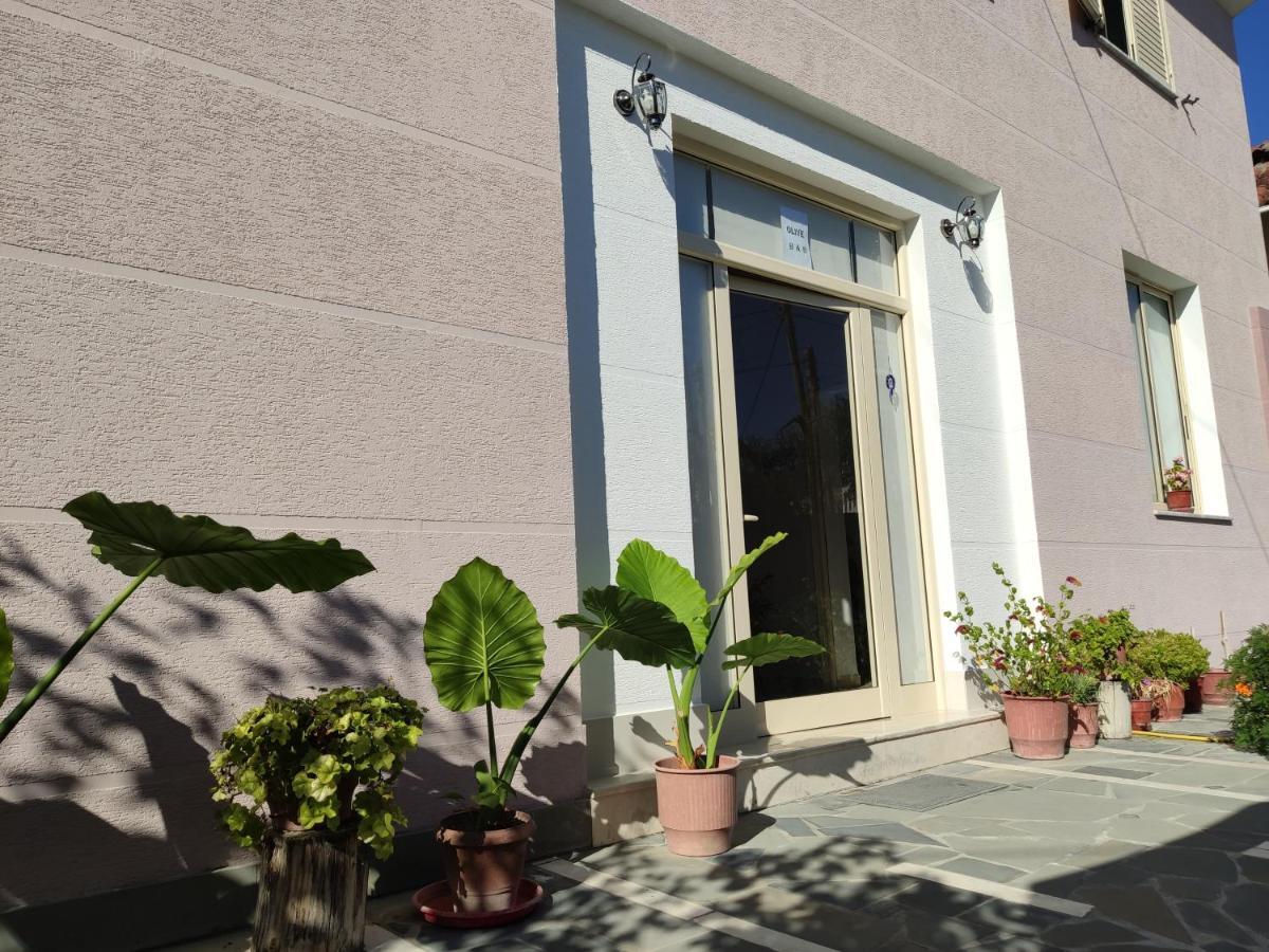 Olive B&B Berat Ngoại thất bức ảnh